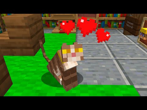 ECCO COME HO TROVATO IL MIO GATTO NELLA BIG VANILLA! - Minecraft