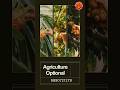 Dnyanadeep Agriculture Optional Optional Agri Agriculture Agrioptional Bestoptional Dnyandeep