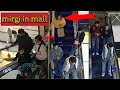 MIRGI PRANK IN PUBLIC FUNNY MIRGI PRANK ON ELEVATOR STAIRS