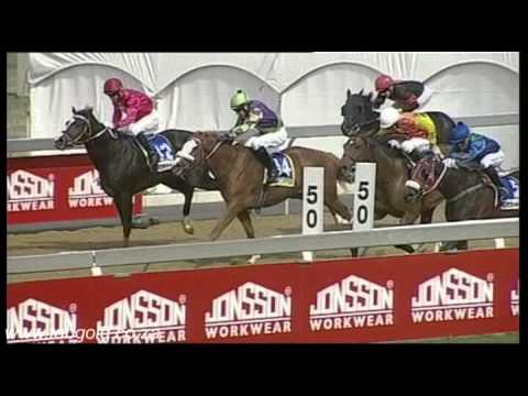 20150804 Greyville Race 1 won by COPPER'S PRIDE
