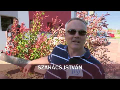 JTV Híradó 2016/15 - 2016.04.17.