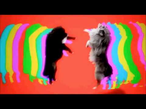 Crookers Pres. Dr Gonzo - Bust 'Em Up