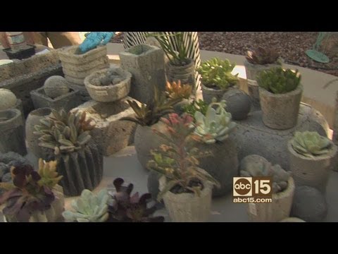 download lagu mp3 mp4 Slate Effect Trough Planter, download lagu Slate Effect Trough Planter gratis, unduh video klip Slate Effect Trough Planter