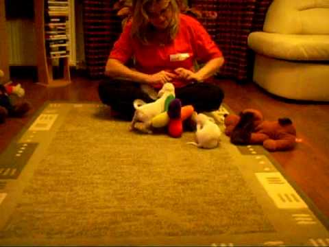 Narciso Nina Nirvana 9 wo 2.avi