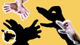 3 EASY ANIMAL HAND SHADOWS | Learn Shadow Puppets Step-by-Step for Kids & Beginners