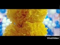Cinematic Video Of Own Country Festival Ajay Commerce Classes Ratu Road Ranchi 2019