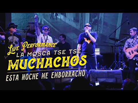 LA MOSCA TSE TSE - Muchachos, Esta Noche Me Emborracho (Bucaramanga, Colombia) Live performance 2022