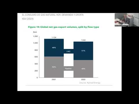 , title : 'Gas natural. Energía de transición y cadenas de suministro'