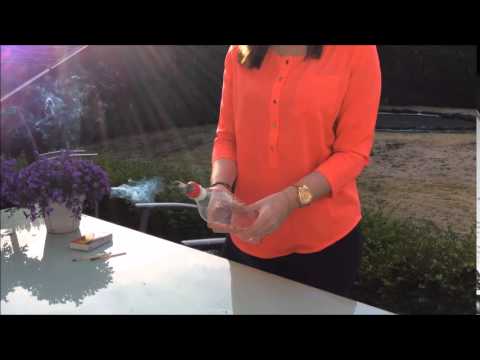 Wat doet roken met je longen? Proefje