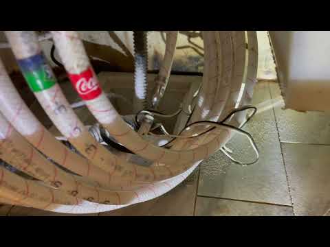 Fruit Flies Thriving in Commercial Building in Morganville, NJ