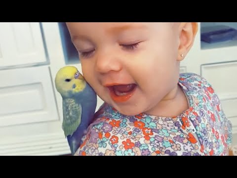 Des petits amis et des animaux partagent un beau moment ❤️
