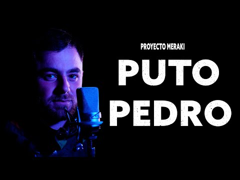Proyecto Meraki X Puto Pedro
