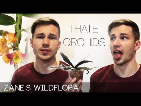 5 Things I HATE About Orchids