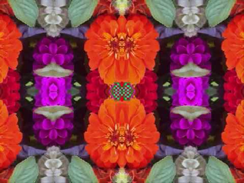 Life And Times video