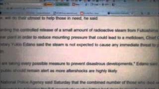 Radioactive material leak confirmed in Japan's nuclear plant