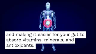 Black Pepper Extract Maximizes Absorption
