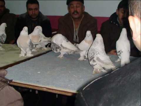 DjKenan _Ex--Askımsın__