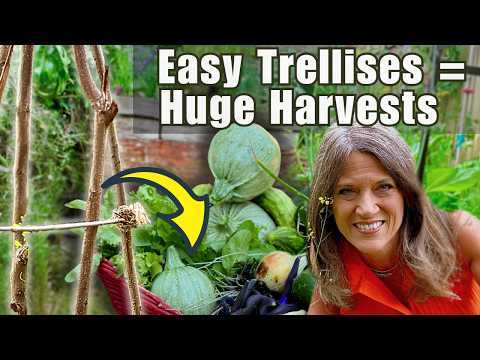 20 Easy Trellises for HUGE Harvests