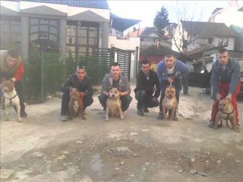 RappBozz-Ngone Bozin