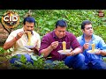 CID New Episode Crime Story 2025 सी आई डी CID New Episode 2025 Crime Series 2025