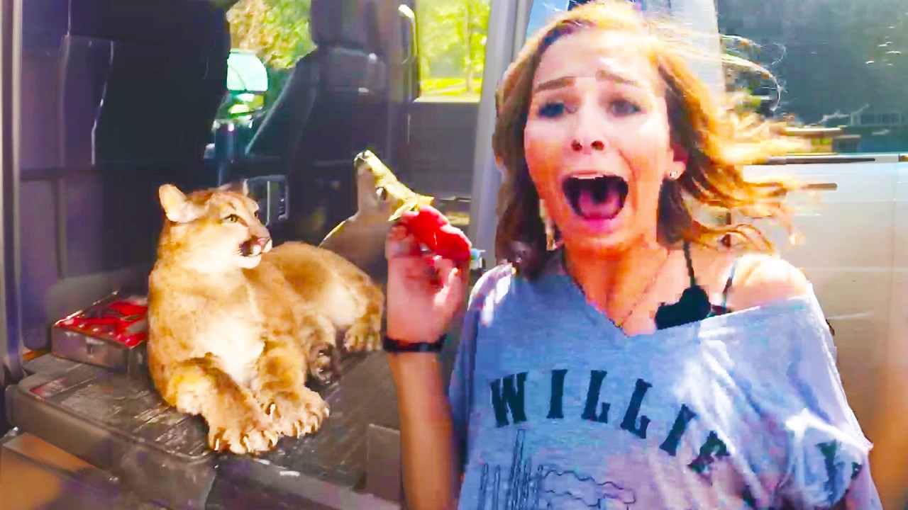 SUMMERWEEN IS HERE | Try Not To Get Scared Challenge