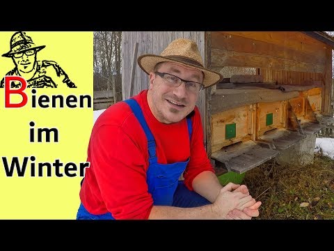 , title : 'Der Imker bei den Bienen im Winter - das große Bienensterben oder alles OK?'
