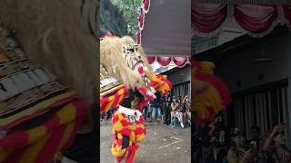 Download lagu PEMBARONG REOG PONOROGO MUDA #shorts #shortsfeed #viralshorts #reog mp3 Download lagu PEMBARONG REOG PONOROGO MUDA #shorts #shortsfeed #viralshorts #reog mp3