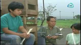 Download lagu MISS COMET * HD * EPISODE 65 * SAVE THE BEE BOY mp3