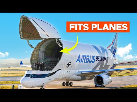 The World’s Strangest Looking Cargo Plane _Inside the Airbus Beluga XL