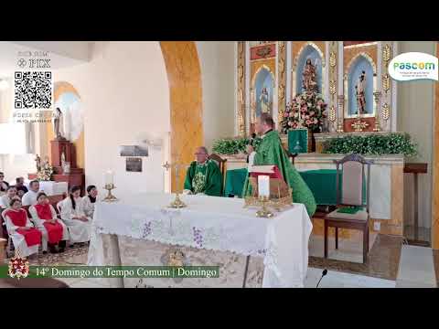 14º Domingo do Tempo Comum | Domingo