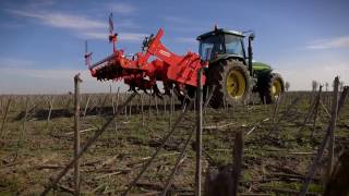 Scarificator Maschio ARTIGLIO 300/7 de vânzare - Imagine 4 | Agroline MD Scarificator Maschio ARTIGLIO 300/7 nou | Imagine 4 - Agroline