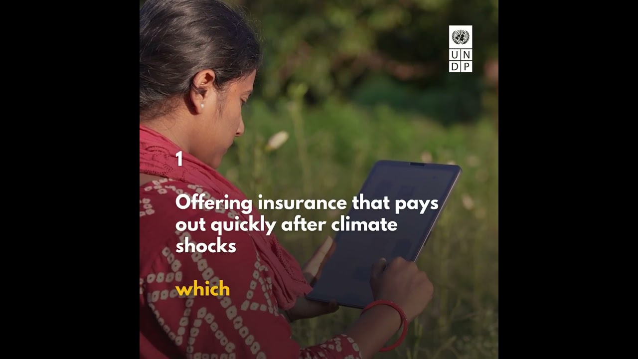 5 ways the private sector can invest in climate adaptation