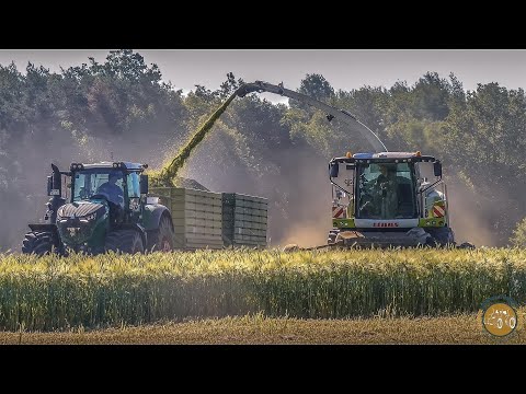 GPS Ernte - Claas Jaguar 950 /Fendt 1042 Vario Ganzpflanzensilage - GPS Häckseln