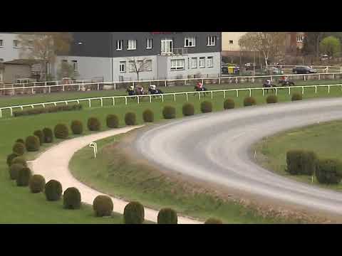 6. dostih - 61. VELKÁ DUBNOVÁ CENA FACTORINGU ČESKÉ SPOŘITELNY - dostihy Velká Chuchle 7. 4. 2019