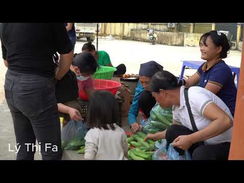 TIMELAPSE :  75 Days Harvest my products to sell  - Build daily life