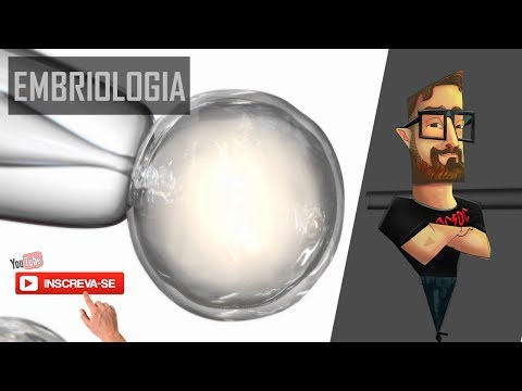 Tudo de Embriologia (Biologia) - Extensivo ENEM 2018