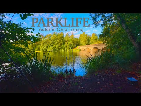 The Bridge | Carp Fishing The 230yr Old Estate Lake 