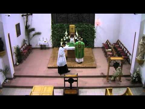 Dominica XX post Pentecosten