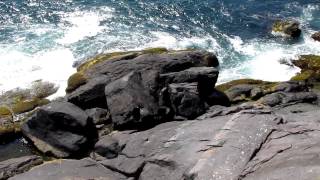 preview picture of video 'Seagulls on Little Whitehead, Monhegan Island, Maine'