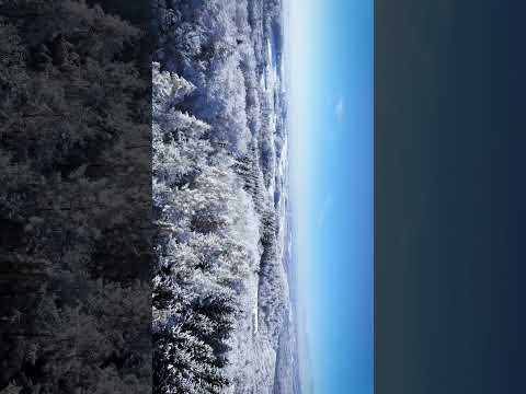 Winter edit (this is what winter feels like)