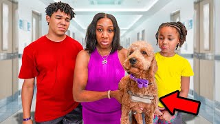 Something BAD Happened to our Dog... 🐕🆘