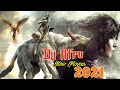 Dj Afro Action Movies 2021 Full Movie