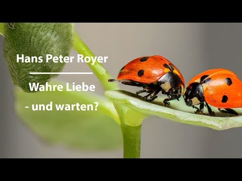 Wahre Liebe - und warten? Hans Peter Royer