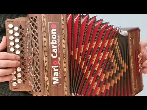 8 Bassi - IU NUN TI POZZU AMARI - Brano - Accordion diatonic oragnetto - Cecè Barretta -