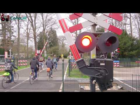 Spoorwegovergang station Ermelo 😍4K😍 //Dutch railroad crossing