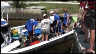 preview picture of video 'Manatee Rescue in Suwannee - 20 June, 2011'