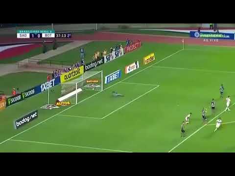 São Paulo x Botafogo Gol de Hudson