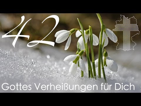 Gottes Verheißungen für Dich - 2. Mose 14,14 | Videokalender 42/365 - Deutschland braucht JESUS