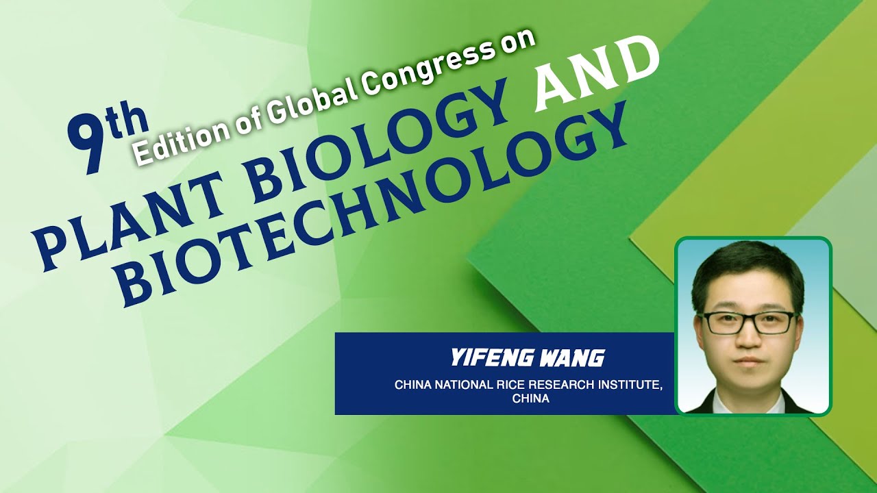 Yifeng Wang | China National Rice Research Institute | China | GPB 2025