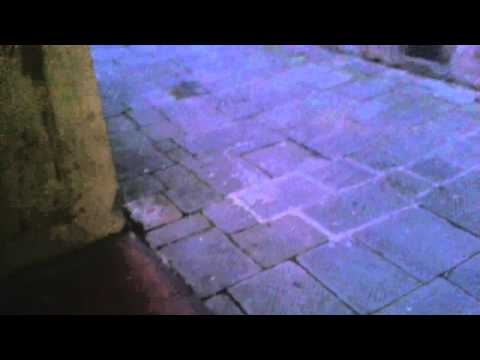 Il mistero della porta numero 7